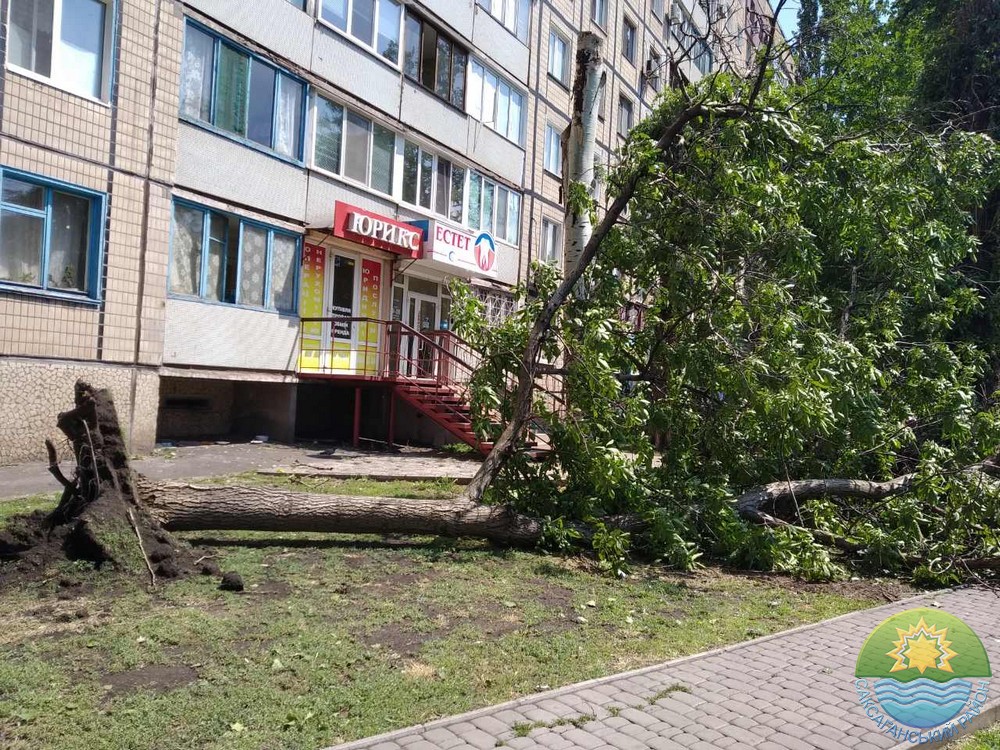 У Саксаганському районі під час негоди, яка відбулася 02 липня 2019 року було повалено майже 800 дерев!