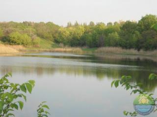 Результати дослідження проб води річки Саксагань, відібраних у Саксаганському районі