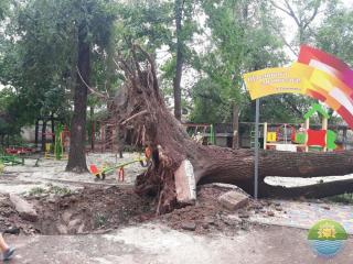 Звітуємо територіальній громаді: відділ з питань надзвичайних ситуацій, цивільного захисту та мобілізаційної роботи