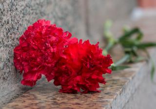 День партизанської слави