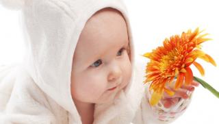 Про роботу комісії з питань захисту прав дитини виконкому районної у місті ради