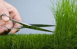 Шановні суб’єкти господарювання!