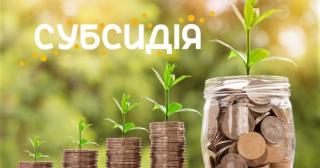 Тариф на послугу «електропостачання» для розрахунку субсидій не зміниться ще 2 місяці