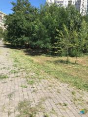 Покіс травостою та карантинних рослин на території району