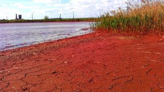 17. 06. 2017 запрошуємо на пішохідну екологічну екскурсію: «Розрив  шаблону – Червоне озеро Кривбасу»