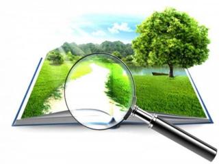 Оголошення про початок громадського обговорення звіту з оцінки впливу на довкілля