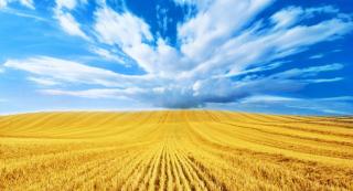 26-та річниця незалежності України