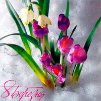 Мы звезды с неба соберем для Вас в букеты!