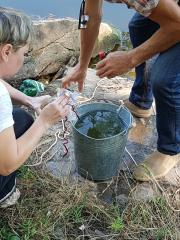 У річці Саксагань відібрано проби води для хімічного аналізу