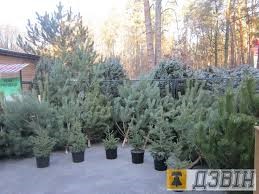 До уваги суб’єктів підприємницької діяльності!