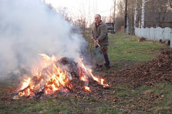 Спалювання сухої трави та листя