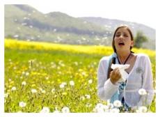 Обережно: у повітрі пилок!