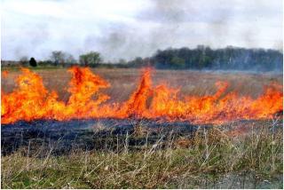 Пожежна безпека влітку