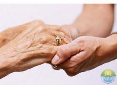 Міжнародний день громадян похилого віку і День ветерана