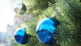 Інформація щодо місць можливого розміщення ярмаркової діяльності (ялинкові базари)