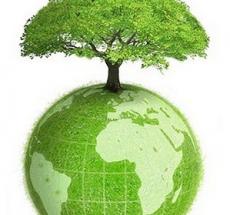 Кодекс екологічної поведінки мешканців міста Кривого Рогу