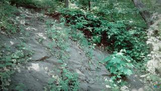 Проведено обстеження об’єктів природного заповідного фонду району