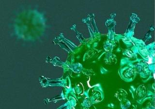 Карантин триває, а орган реєстрації працює