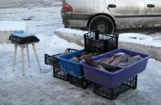 Ліквідації стихійної торгівлі на території Саксаганського району