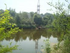  Пам`ятка щодо забезпечення чистоти та порядку на водних об`єктах Саксаганського району