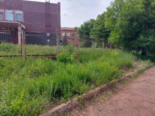 Боротьба з карантинними рослинами