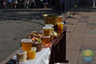 VI Криворізький міський фестиваль меду