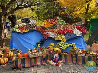 Покровський ярмарок 