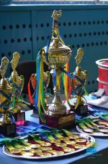 Відкритий перехідний кубок Саксаганського району з боксу