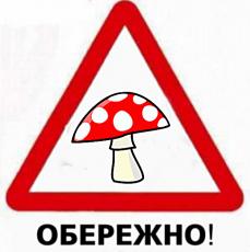 Обережно: отруйні гриби!