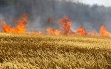 Експрес-інформація Головного управління ДСНС у Дніпропетровській області щодо попередження пожеж під час збирання нового врожаю ранніх зернових культур
