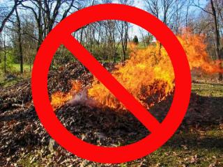 Спалювання листя та сухостою заборонено!!!