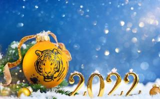 Новий 2022 рік – рік Водяного Тигра