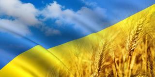 Моя рідна Україна