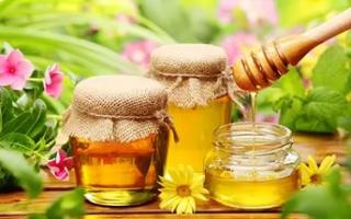 Про цілющі властивості меду та медової продукції